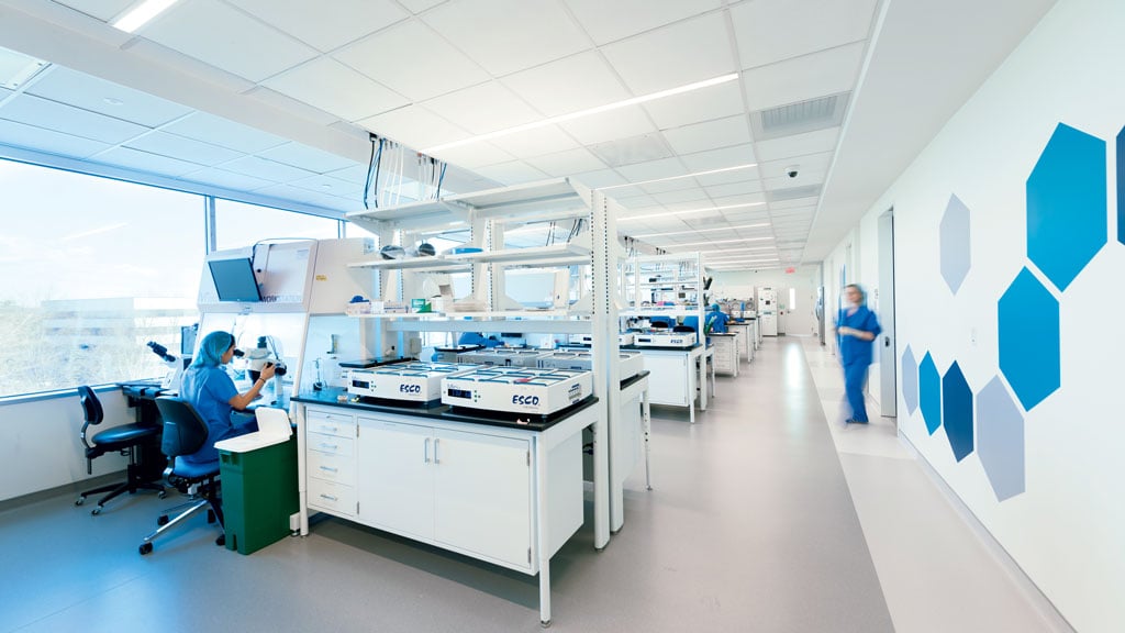 Your Path to Parenthood: World-Class IVF Support in Cyprus